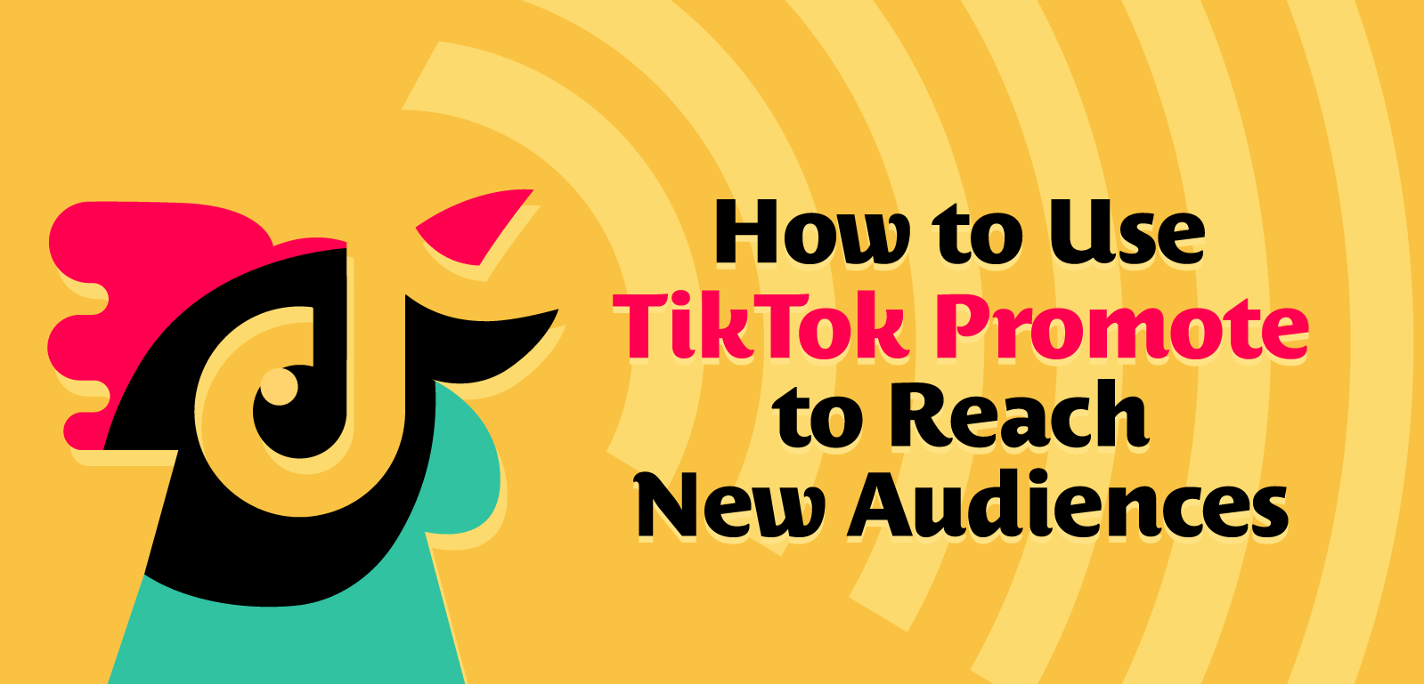 TikTok Mastery – How to Use Tik Tok Ads to go from 0-$10k Profit Per Month